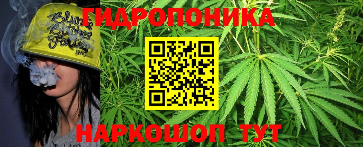 Заволжье  Бошки марихуана White Widow  Шишки марихуана THC 21%  Бошки Шишки ГИДРОПОН  Вход с VPN  Шишки марихуана гибрид 